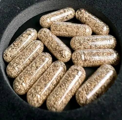 Moina Capsule