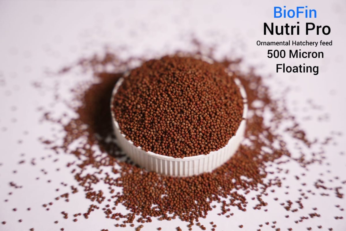 Biofin nutripro 500 micron (flotating Pellets)
