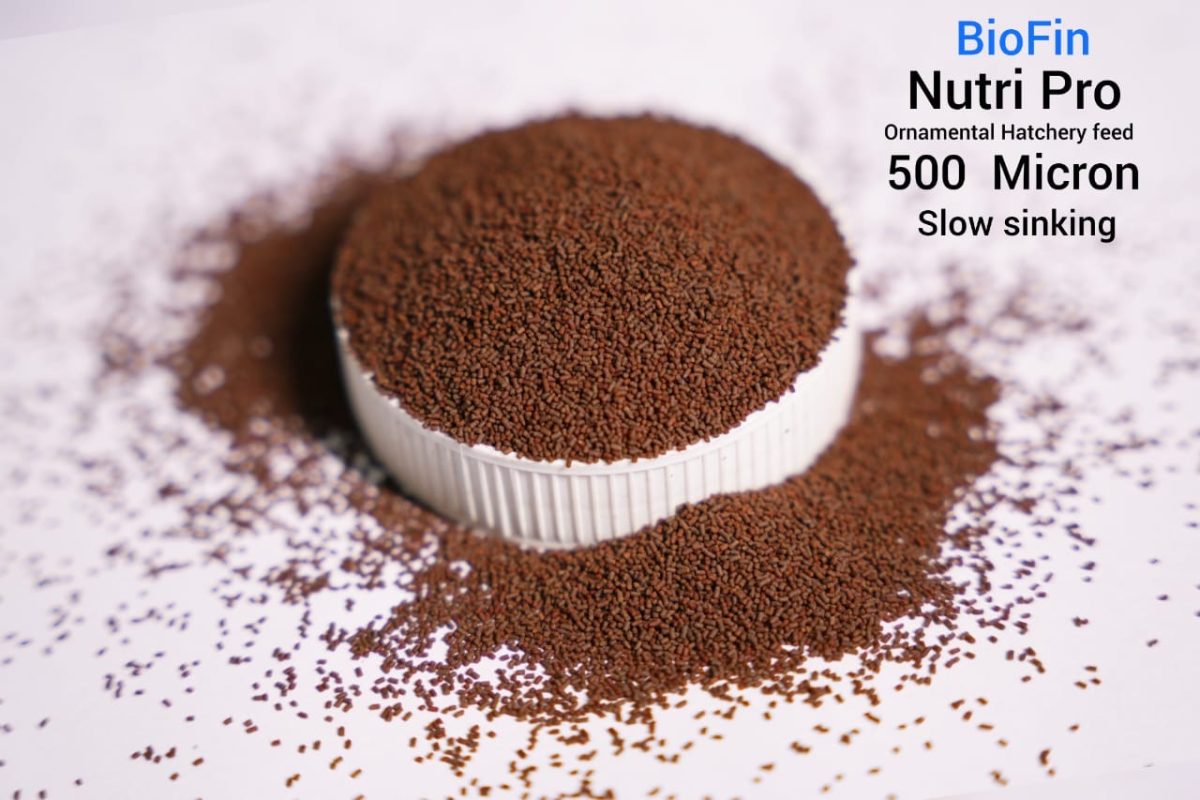 Biofin nutripro 500 micron (sinking Pellets)