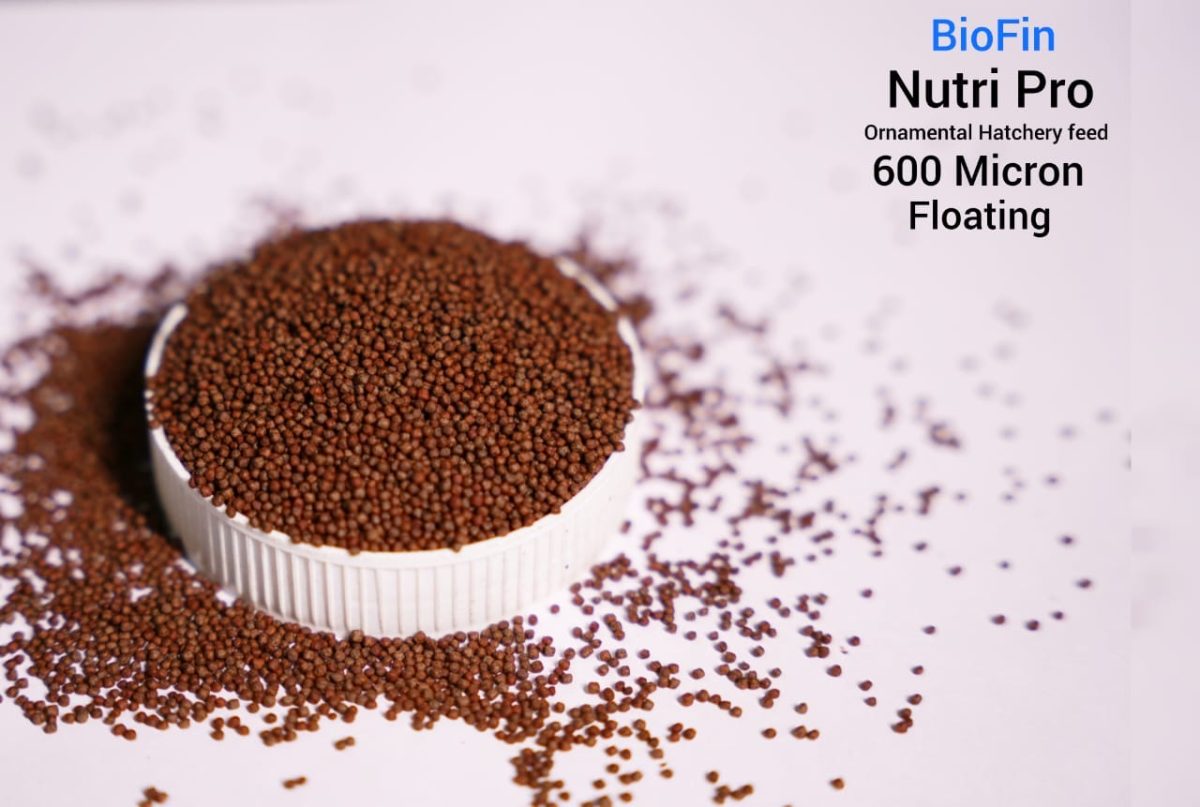 Biofin nutripro 600 micron (flotating Pellets)