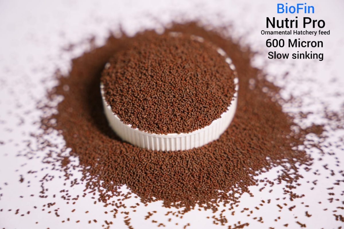 Biofin nutripro 600 micron (sinking Pellets)