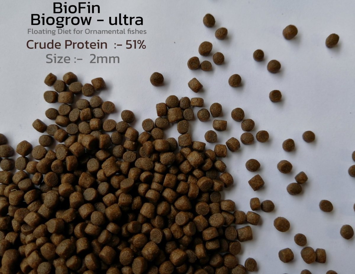 Biofin biogrow 2mm